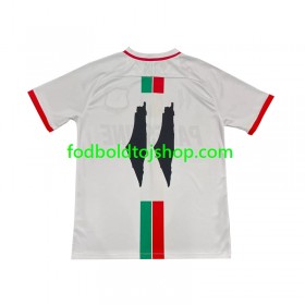 Club Deportivo Palestino Center Stripre Udebane trøje 2024-25 S/S